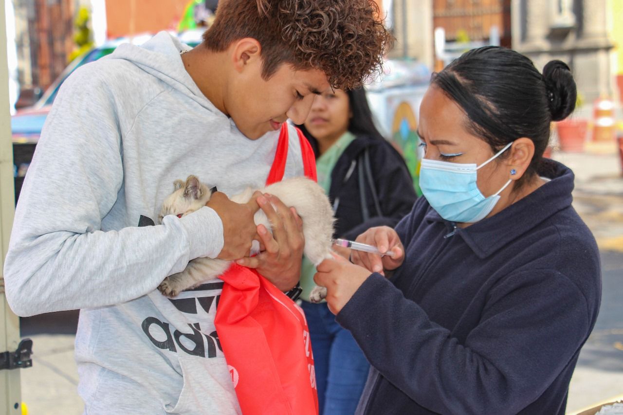 Invita Ayuntamiento a últimos días de vacunación antirrábica canina y felina en Huamantla